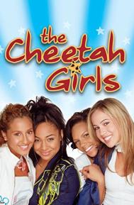 The Cheetah Girls poster