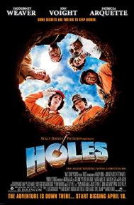 Holes poster