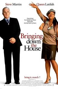 Bringing Down the House poster