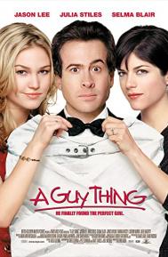 A Guy Thing poster