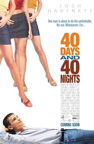 40 Days and 40 Nights poster