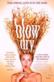 Blow Dry poster