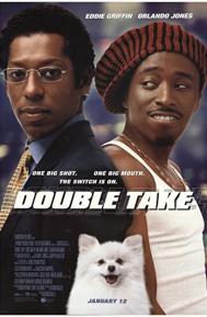 Double Take poster