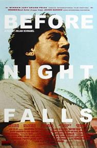 Before Night Falls poster