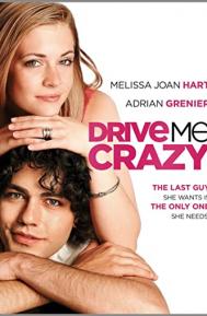 Drive Me Crazy poster