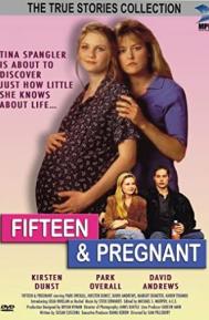 Fifteen and Pregnant poster