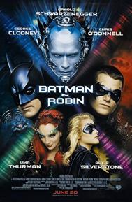 Batman & Robin poster