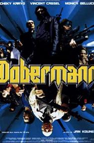 Dobermann poster