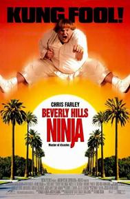 Beverly Hills Ninja poster