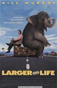 Larger Than Life poster