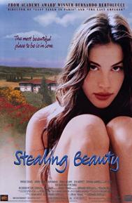 Stealing Beauty poster