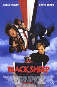 Black Sheep poster