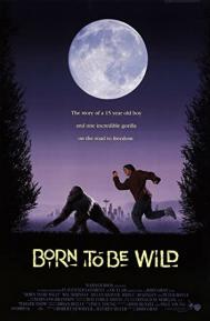 Born to Be Wild poster