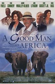 A Good Man in Africa poster