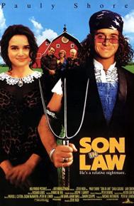 Son in Law poster