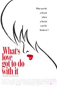 What's Love Got to Do with It poster