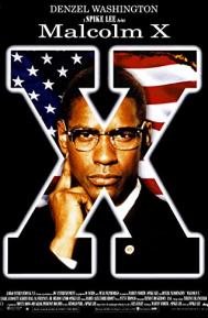 Malcolm X poster