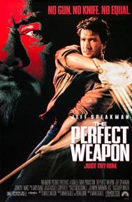 The Perfect Weapon poster