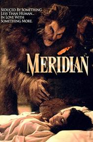 Meridian poster