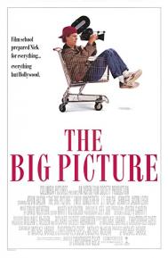 The Big Picture poster