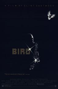 Bird poster