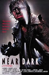 Near Dark poster