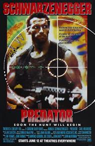 Predator poster