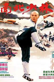 Martial Arts of Shaolin poster