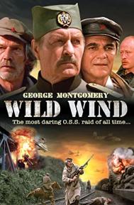 Wild Wind poster