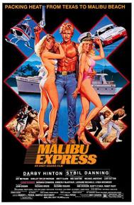 Malibu Express poster