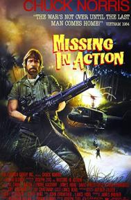 Missing in Action poster