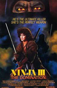 Ninja III: The Domination poster