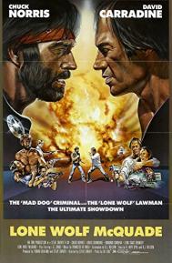 Lone Wolf McQuade poster