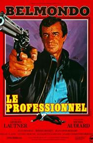 The Professional poster