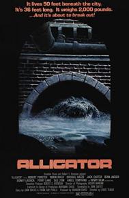 Alligator poster