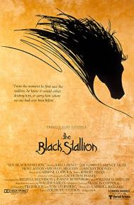 The Black Stallion poster