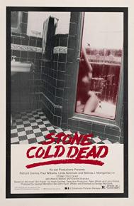 Stone Cold Dead poster