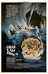 Gray Lady Down poster