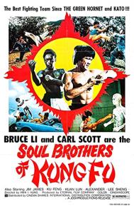 Soul Brothers of Kung Fu poster