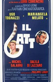 Il gatto poster