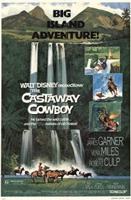 The Castaway Cowboy poster