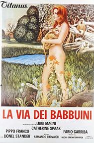 La via dei babbuini poster