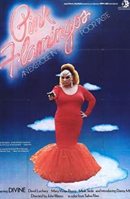 Pink Flamingos poster