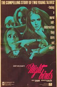 Nightbirds poster