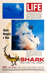 Shark poster