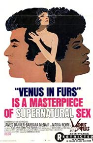 Venus in Furs poster