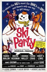 Ski Party poster