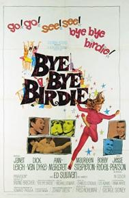 Bye Bye Birdie poster