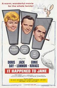 It Happened to Jane poster