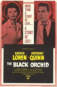 The Black Orchid poster